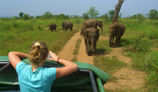 4-days-Murchison-falls-national-park-Uganda-Safari-Tour