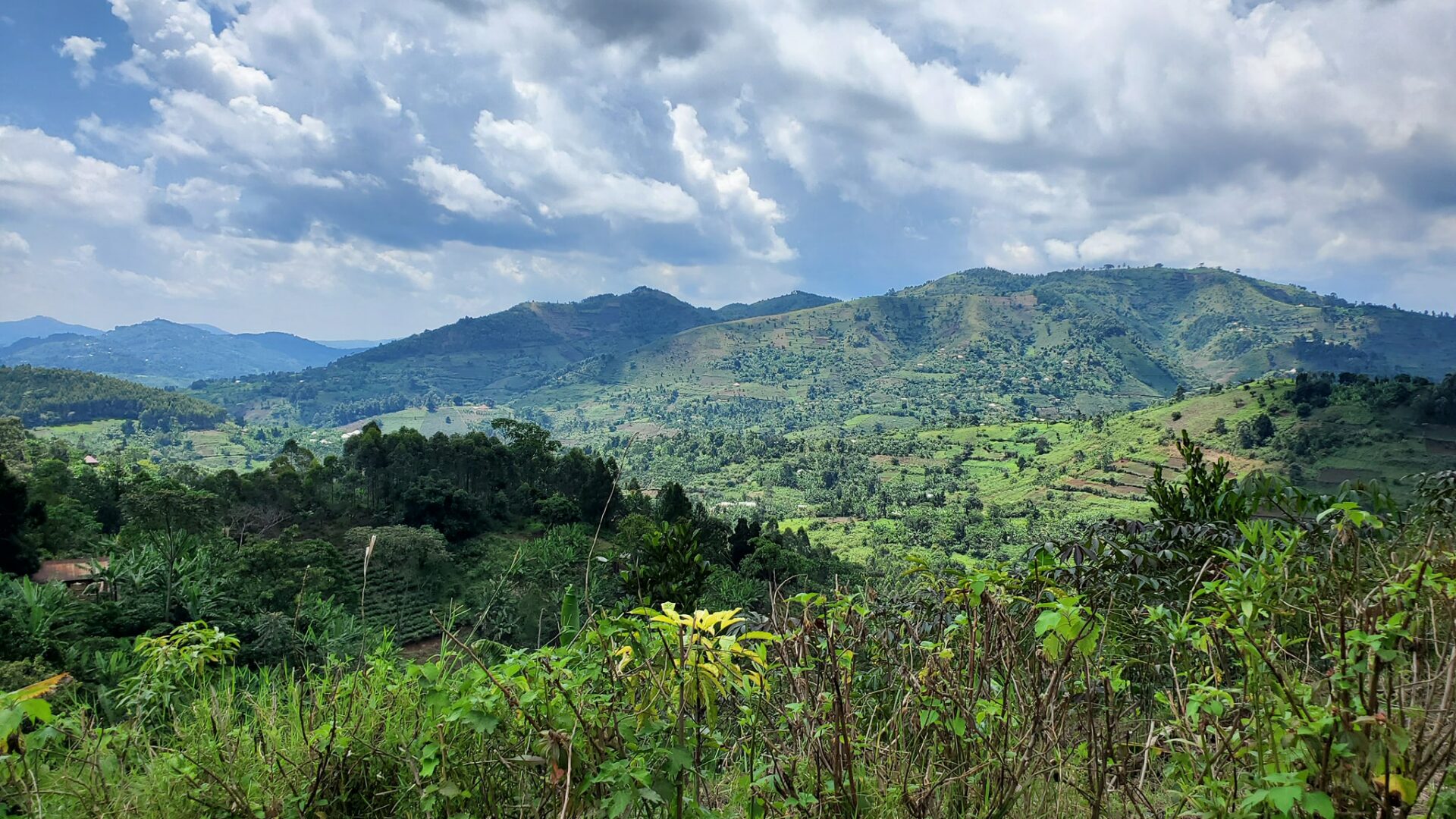 uganda-bwindi-buhoma-ride-4-woman-17-1920x1080