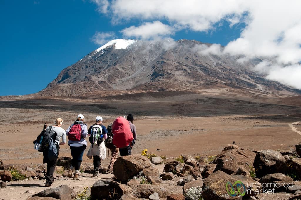 9 Day Mt Kilimanjaro Day trek and Safari Experience